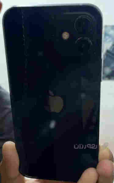 iPhone 12 assay