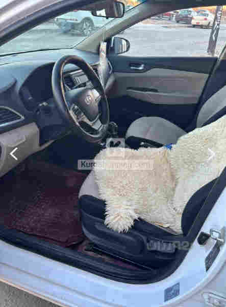 فوول مواصفات