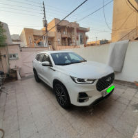 شێری تیگۆ 8 پڕۆ 2022