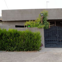 خانوو بۆ فرۆشتن پێک هاتووە لە دوو ژووری نوستن هۆل دیوەخان مەتبەخ حەمام ئاودەست بەیتونە حەدیقەی هەیە 