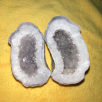 بردی جوان