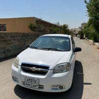 ئەڤیۆ 2010