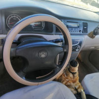 جیلی یە ک پارچە بۆیاخ 