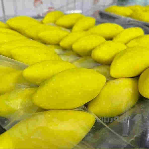 100/100  به هه مو شه رتيك قيمه ى خؤمالى به كار يه  - 2