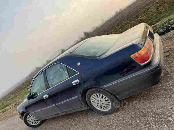 مەلیکەی بڕاوە بۆ فرۆشتن 2003 - 3