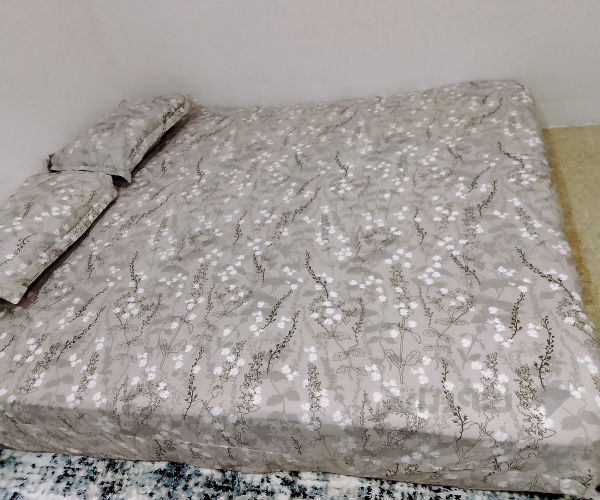 دۆ شەکی دوونەفەری