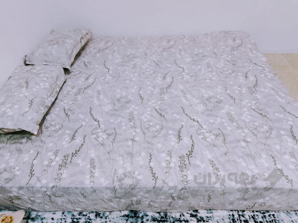 دۆ شەکی دوونەفەری - 3