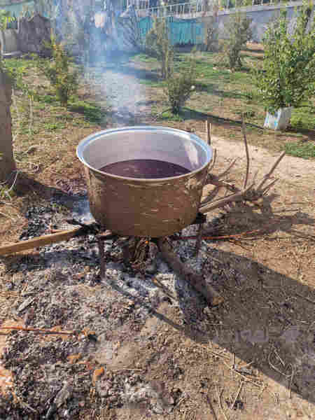 ڕوبەهەناری هەڵەبجە - 2