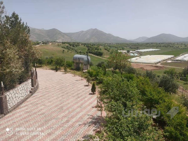 باخی جوان له سیته ک                              - 3