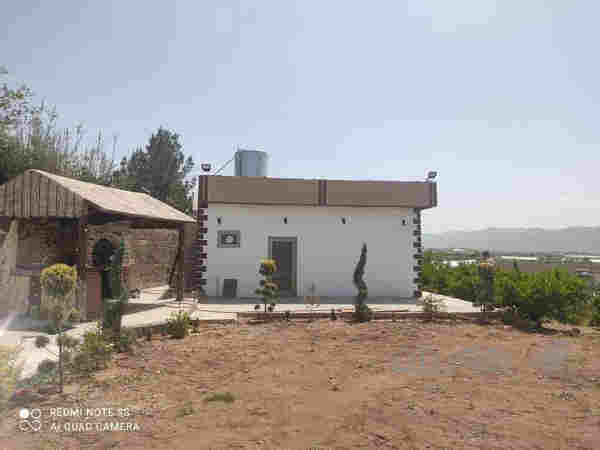 باخی جوان له سیته ک                              - 4