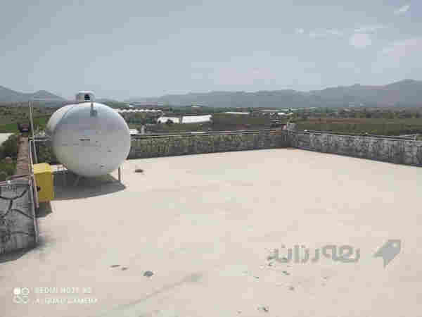 باخی جوان له سیته ک                             