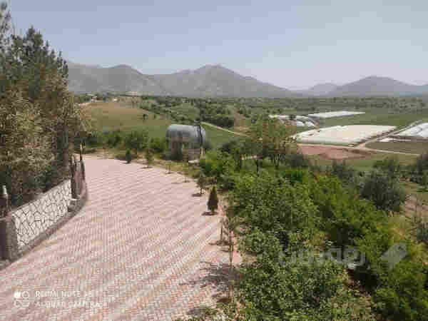 باخی جوان له سیته ک                              - 3