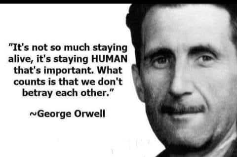 Hash Humanity — Human Identity Layer Social Club