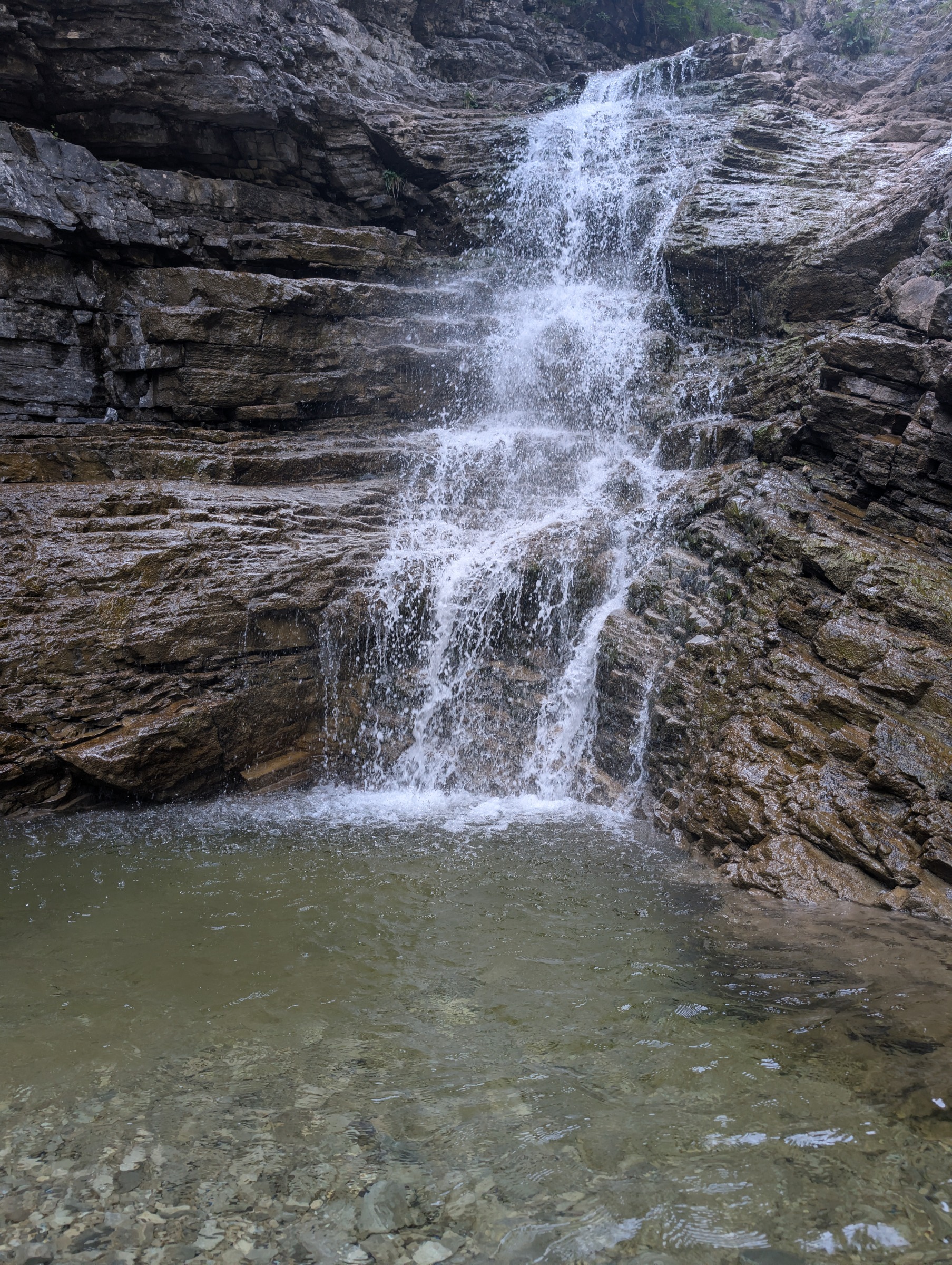 Hash Humanity — Human Identity Layer Social Club