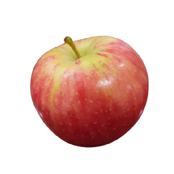 Fresh Honeycrisp Apple, Hess Brothers