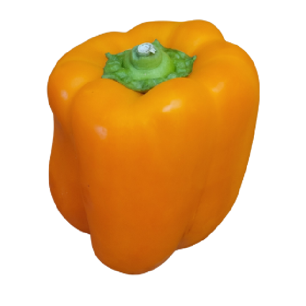 Orange Bell Pepper, Nature Fresh Farms