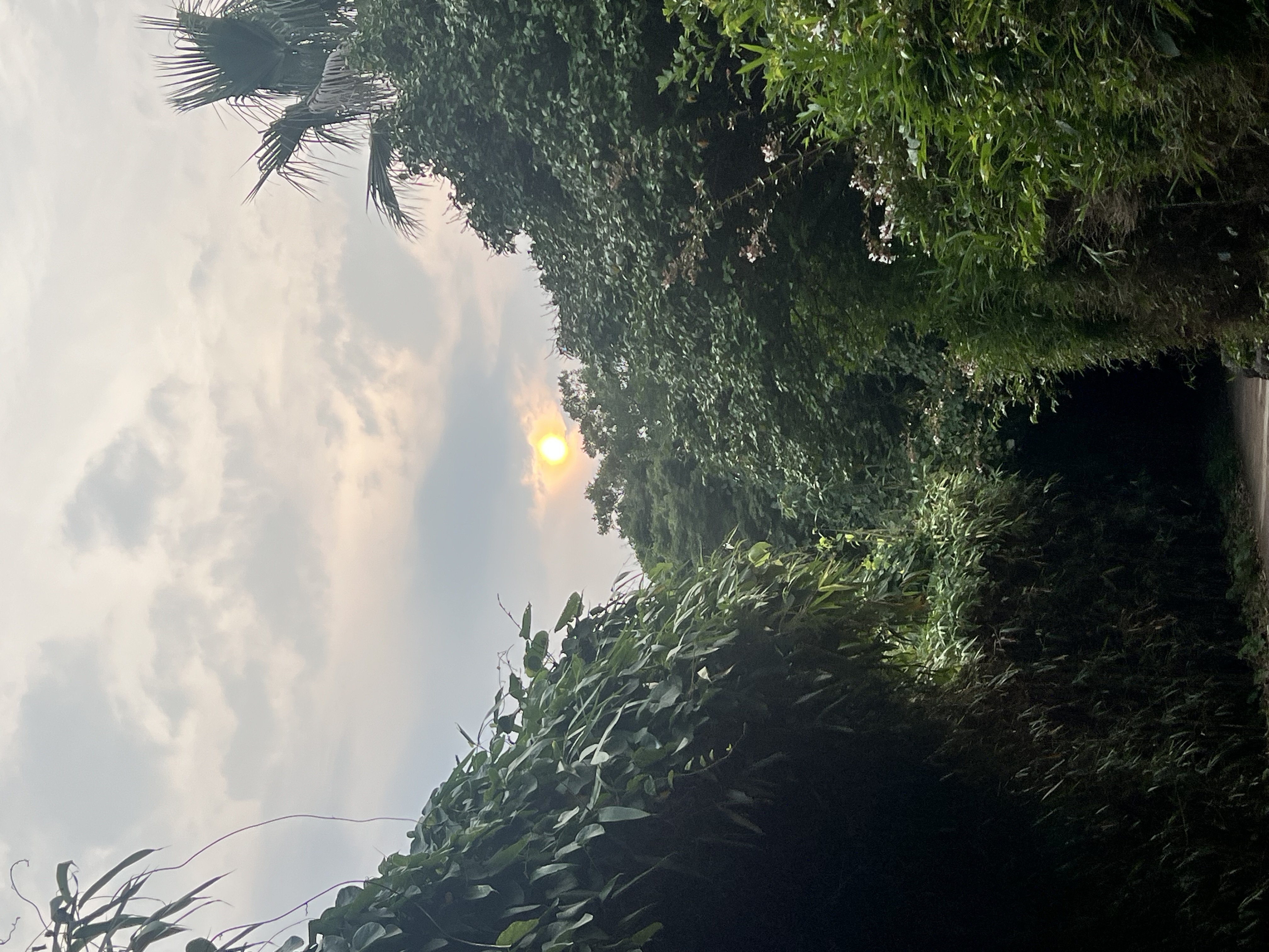 IMG_9637.jpeg