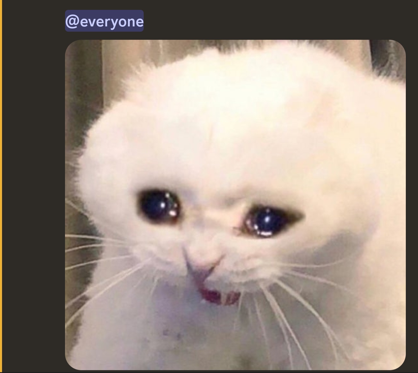 1000122444.jpg 1000122444.jpg