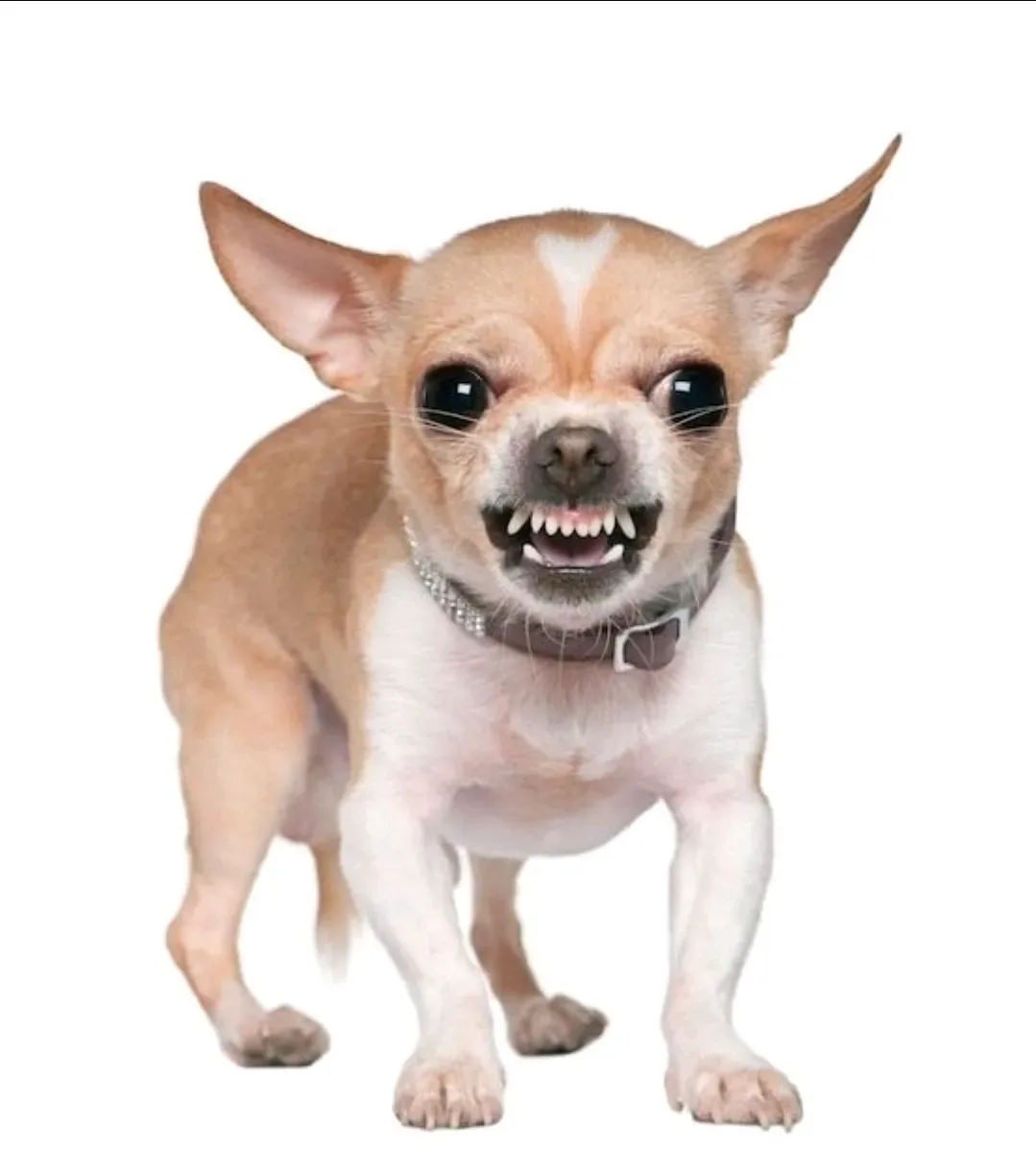 크루아상