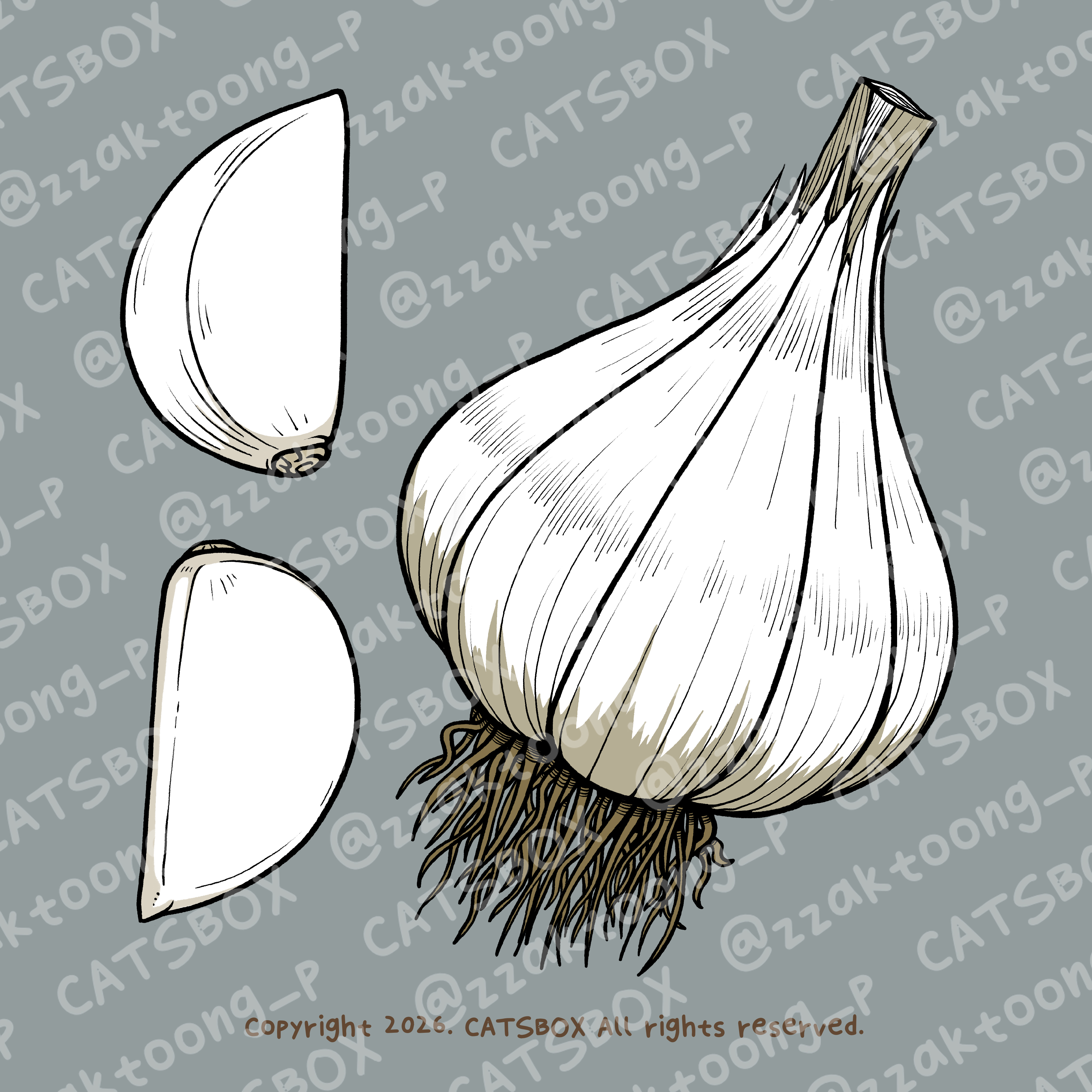 CACTD0002_J.jpg