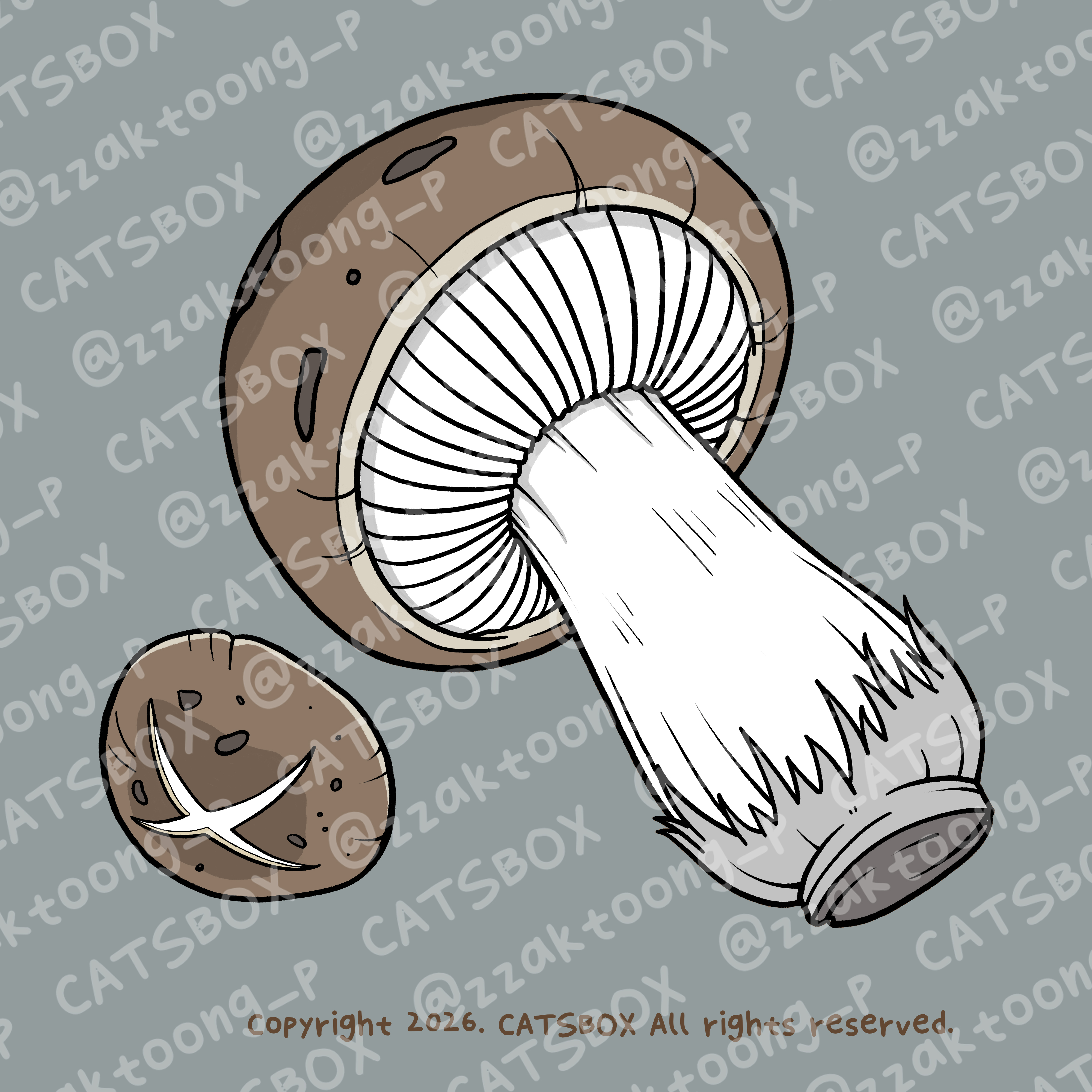 CACTD0003_J.jpg