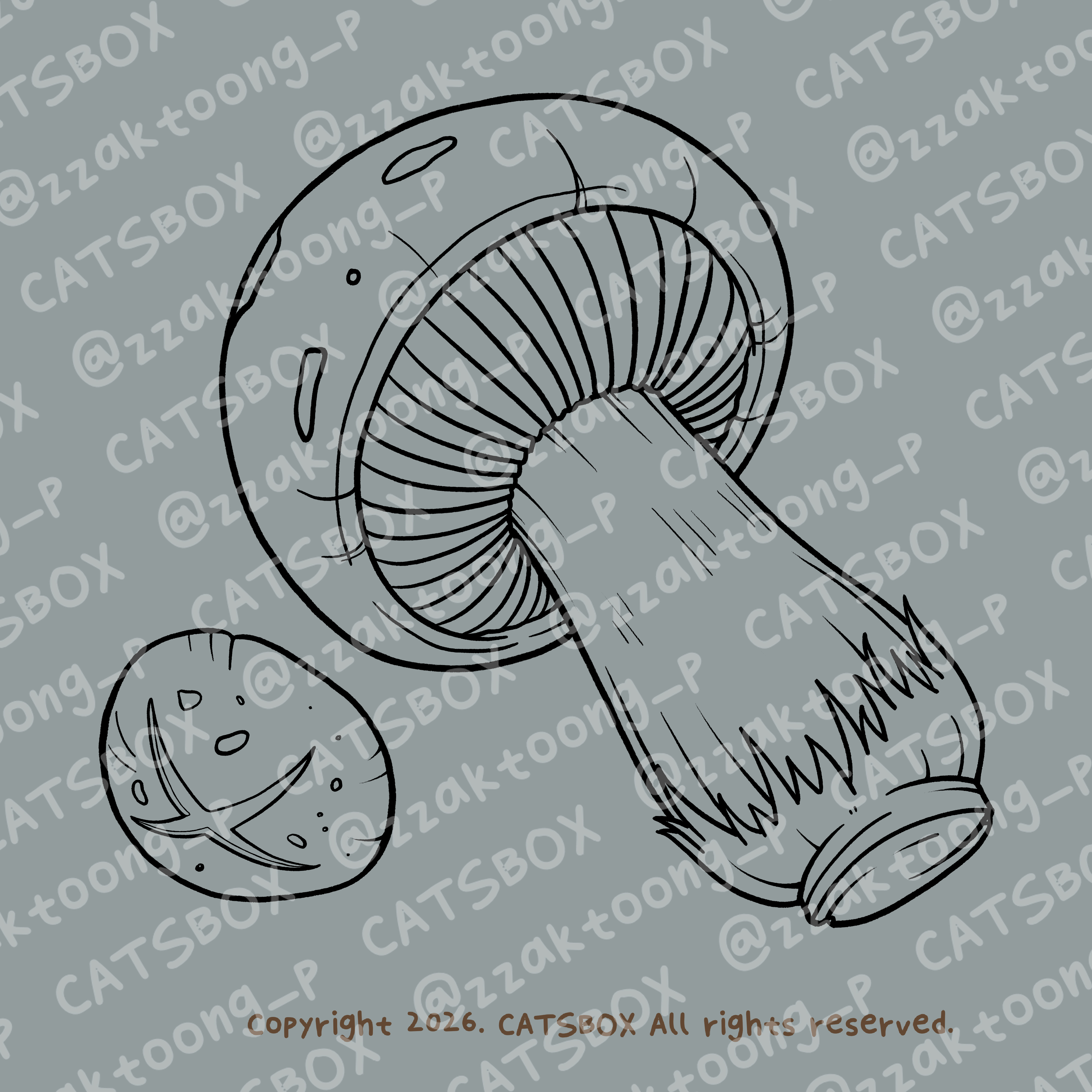 CACTD0003_L.jpg