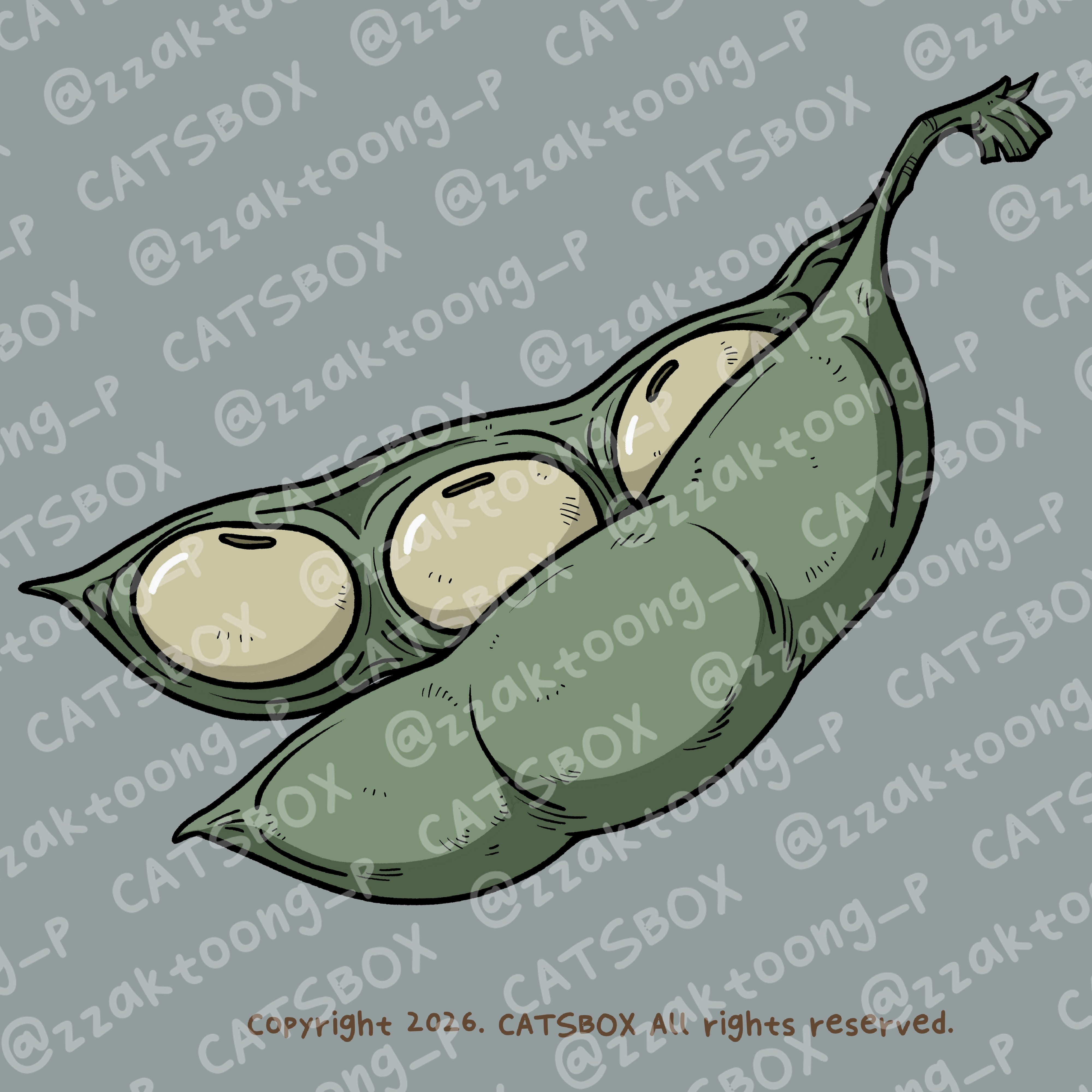 CACTD0006_C.JPG