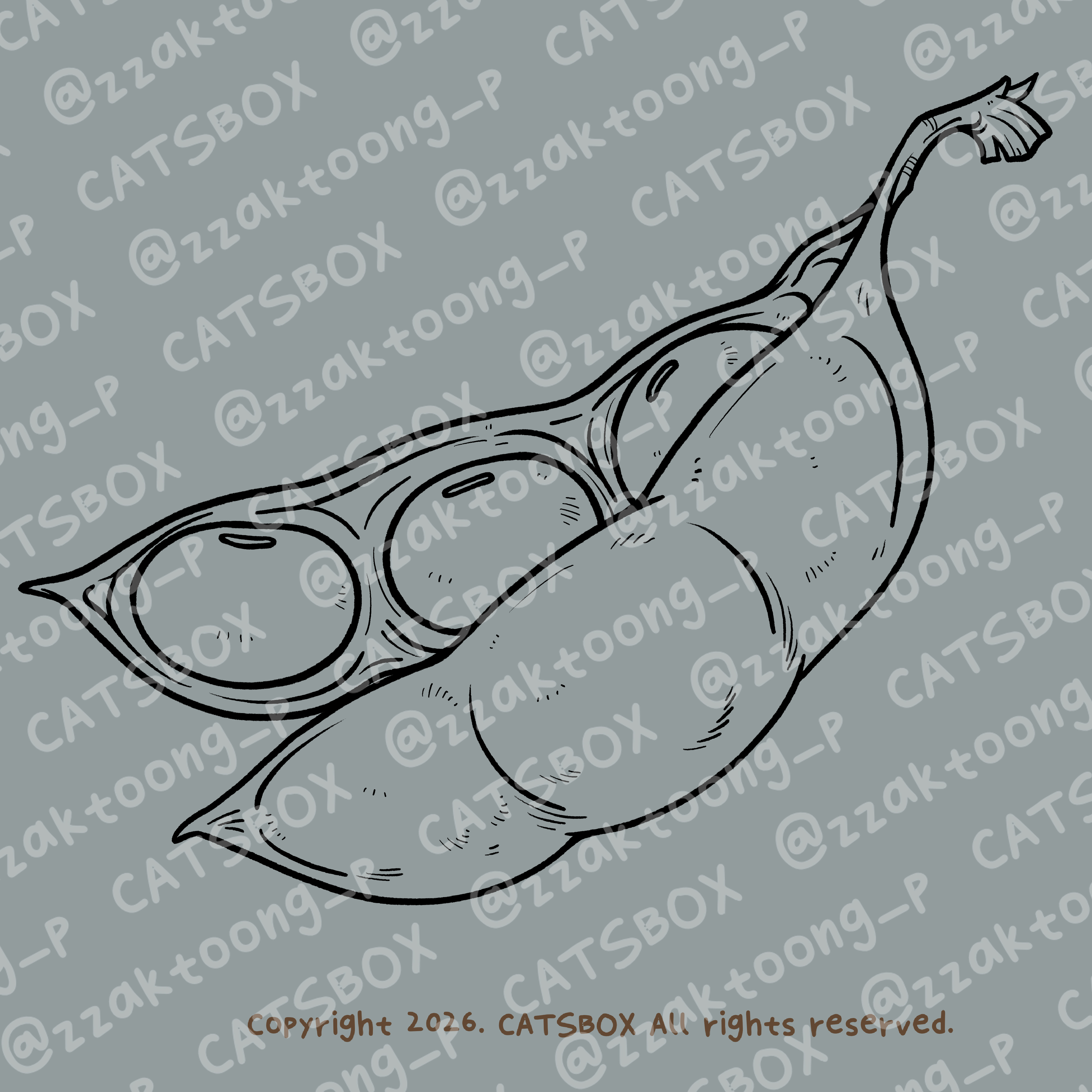 CACTD0006_L.jpg