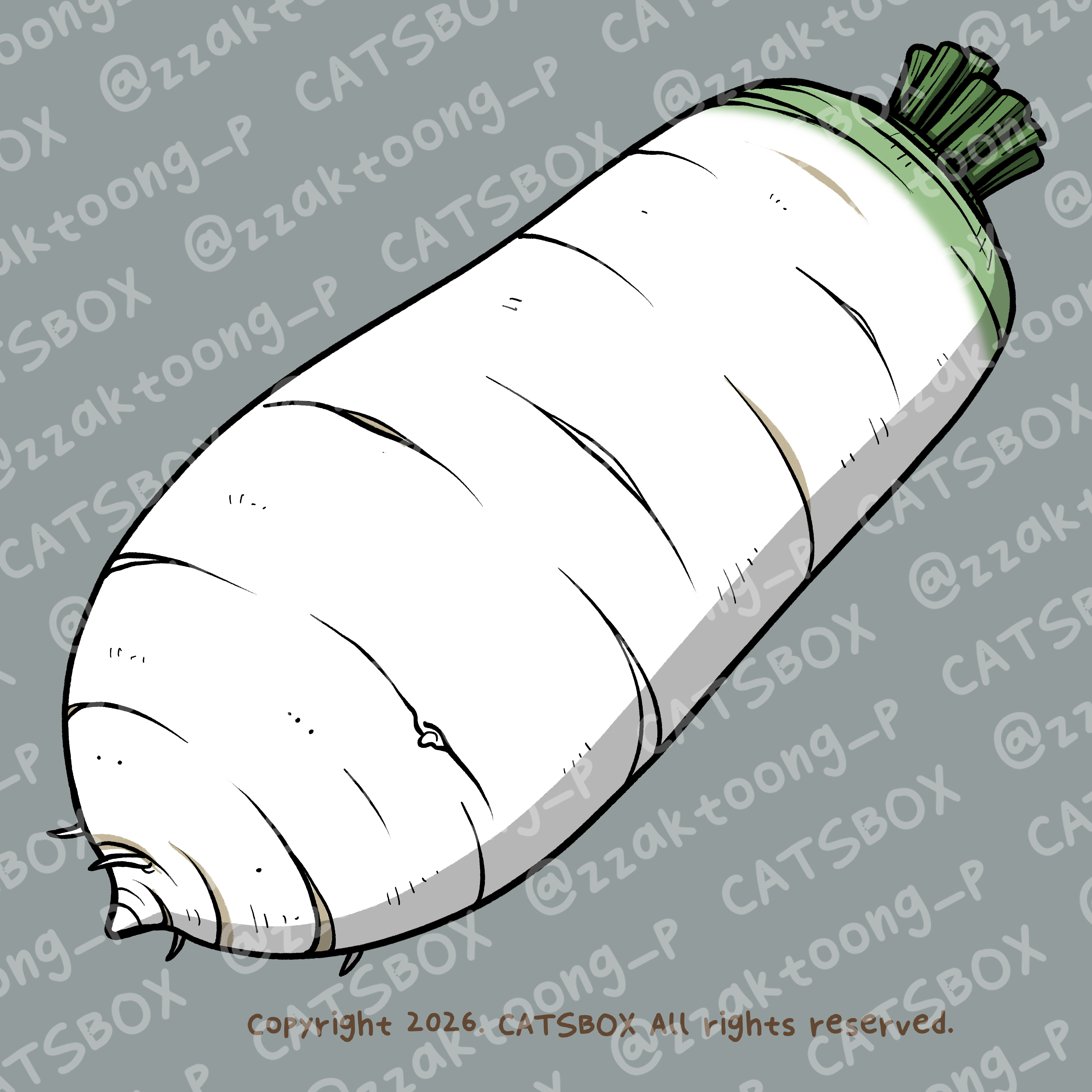 CACTD0009_C.jpg