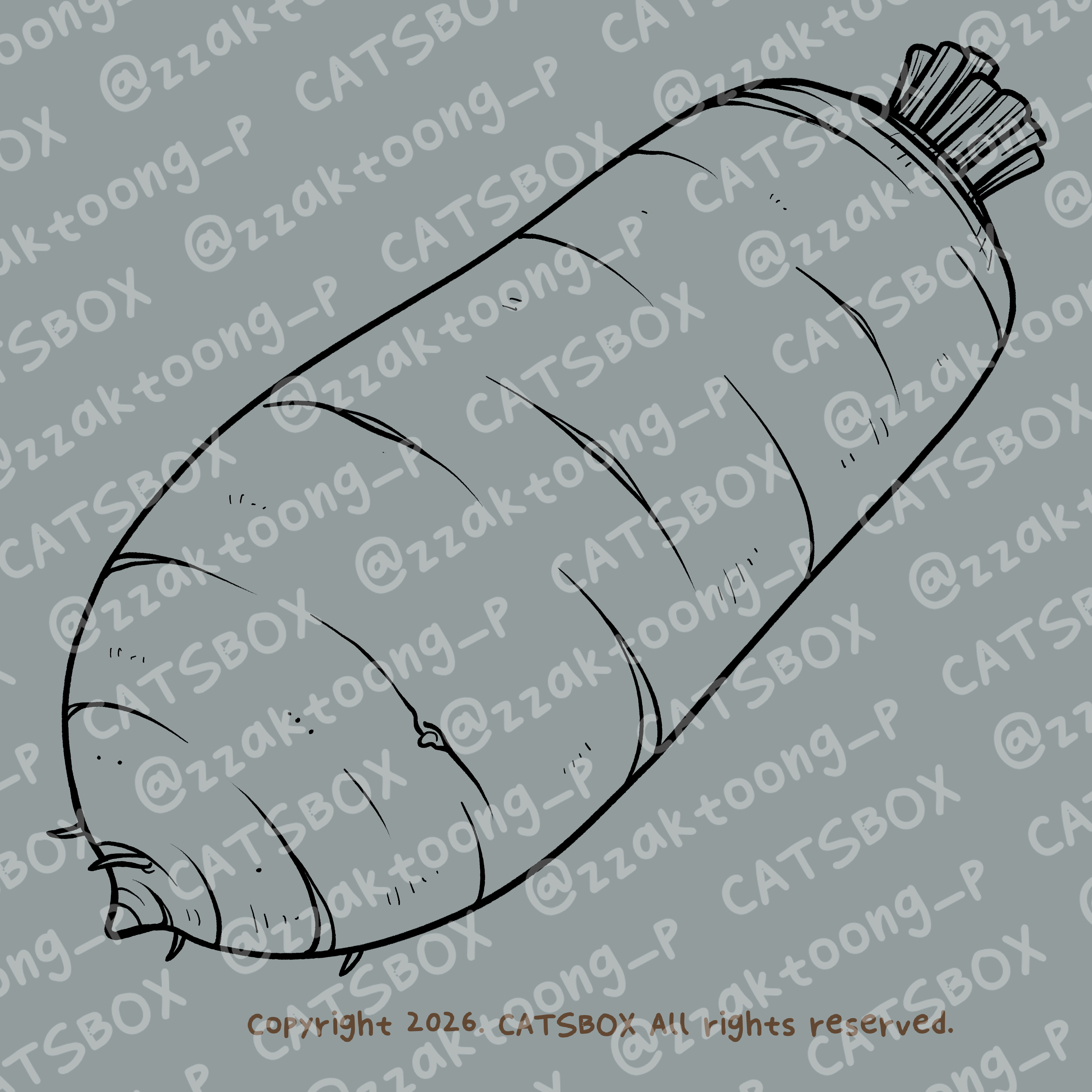 CACTD0009_L.jpg
