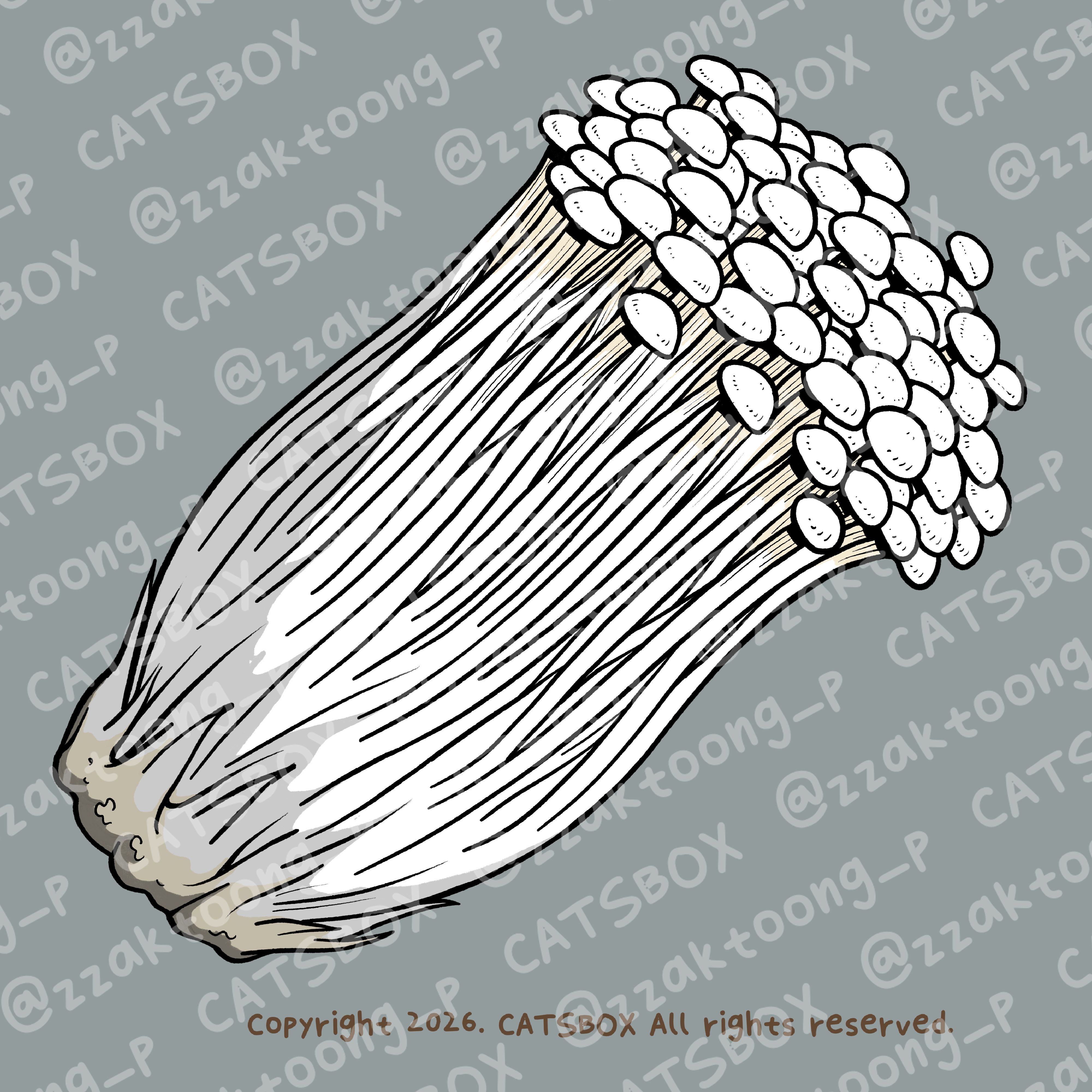 CACTD0010_C.jpg