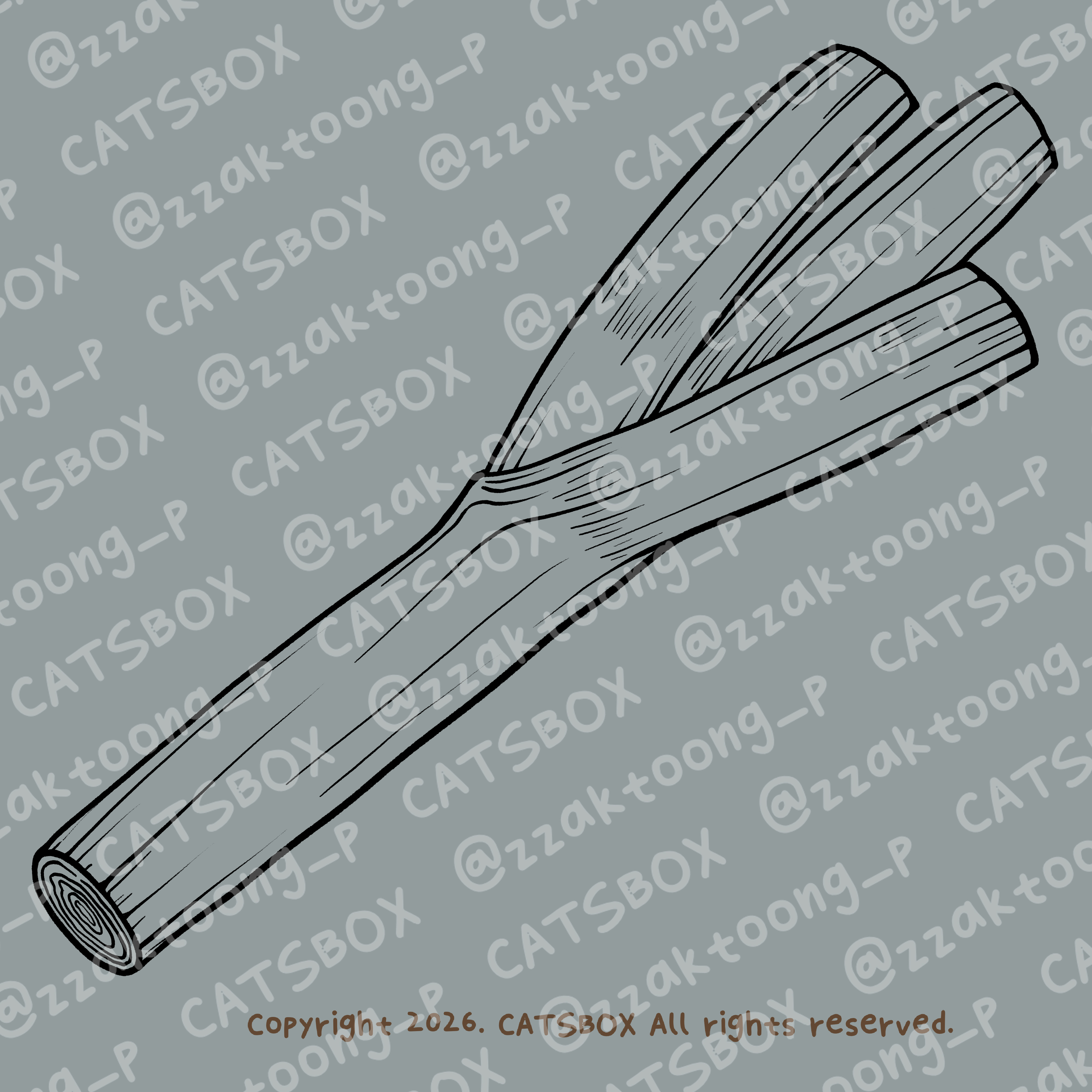 CACTD0011_L.JPG