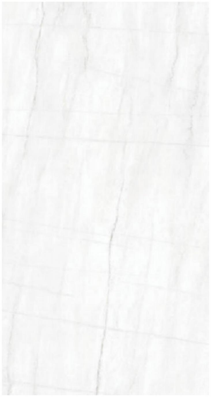 Belly White