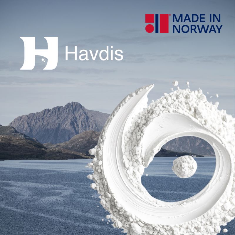 Image from Havdis's LinkedIn post of 13 June 2026
