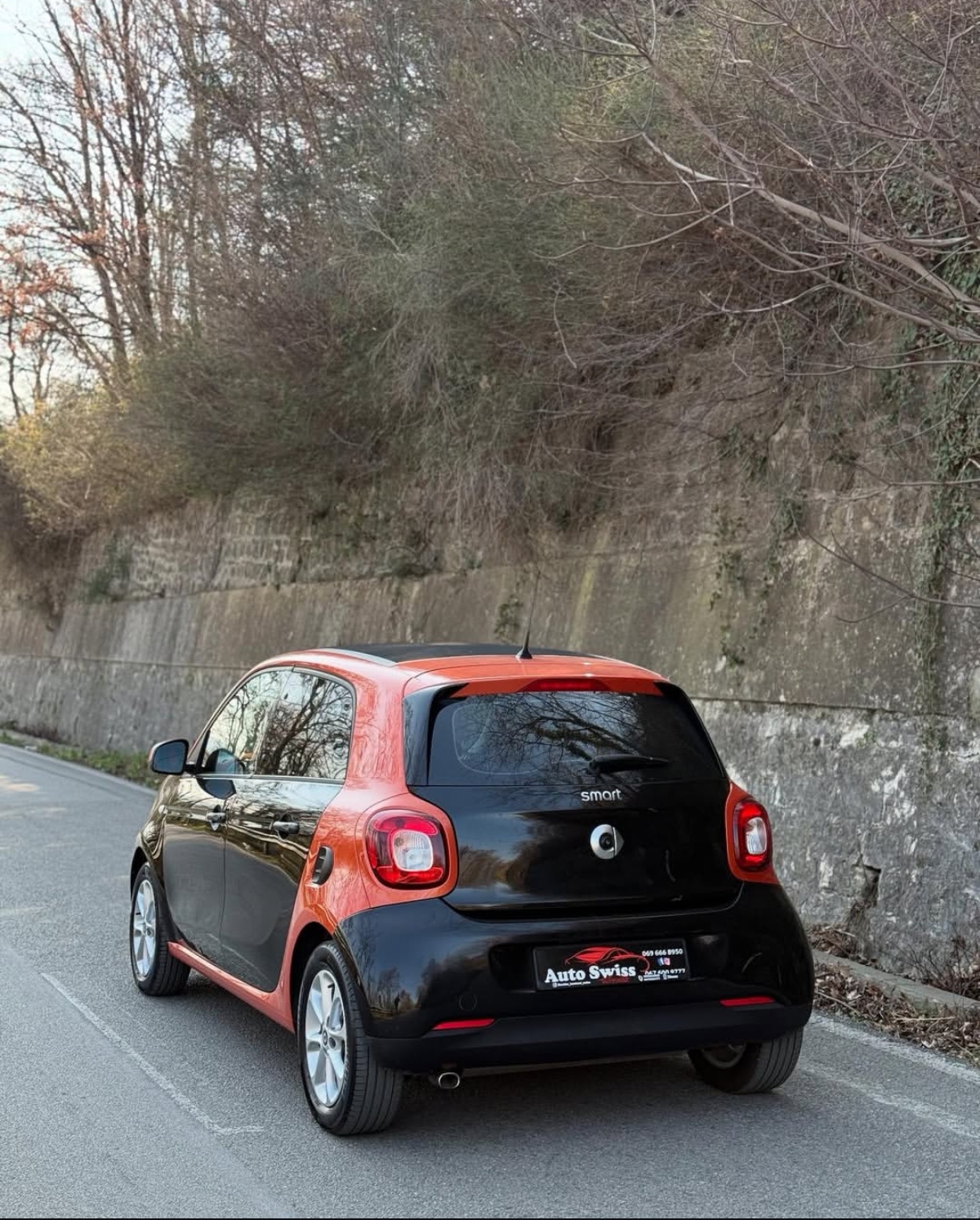 Smart Four 2
