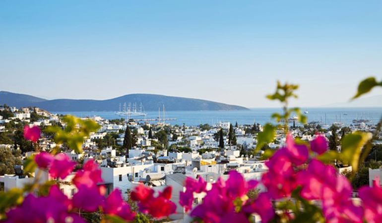 Bodrum'da Bahçe Bakımı: Mevsimlere Göre Komple Bahçe Bakım Rehberi