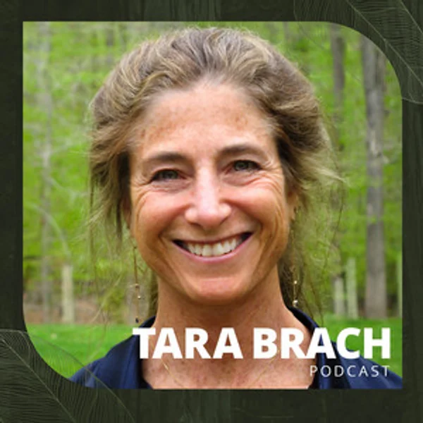 Tara Brach podcast cover