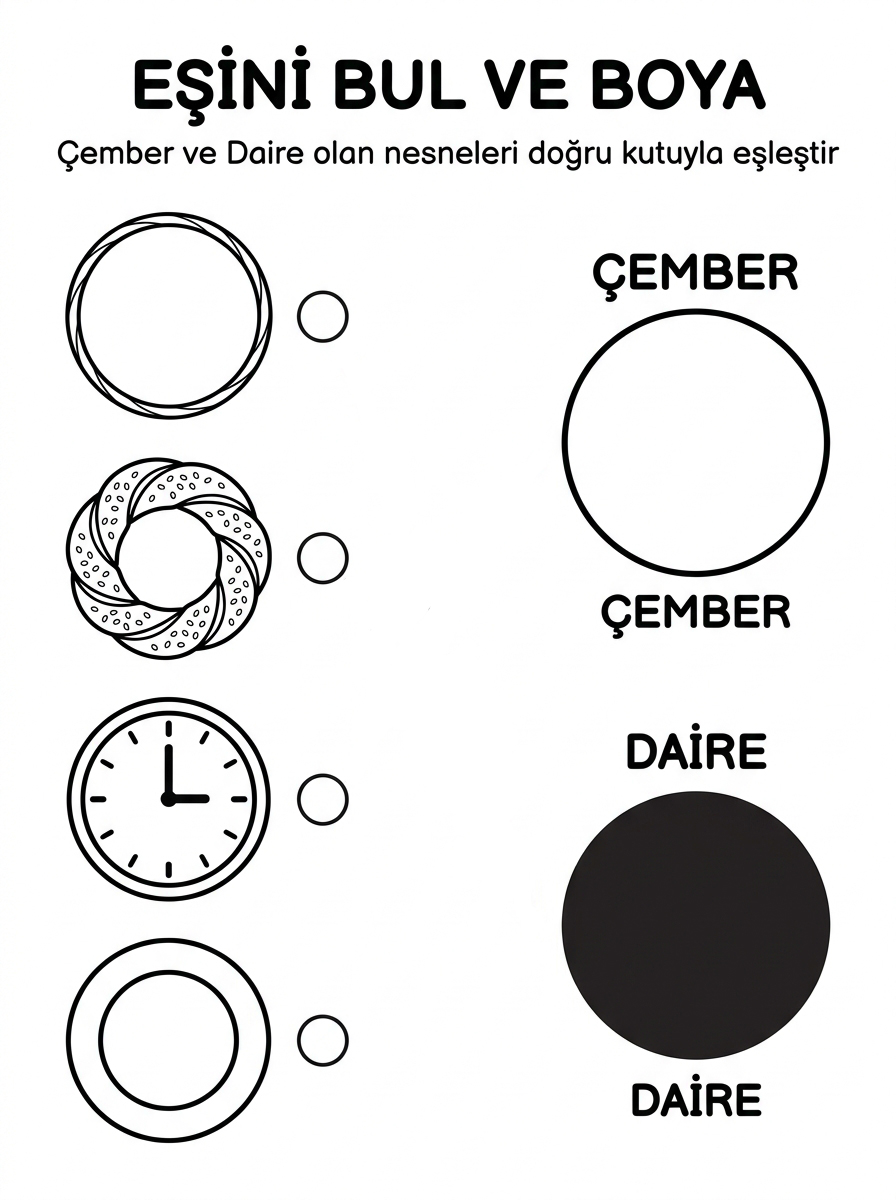 Çember Şeklini Öğreniyorum - 4 Calisma Eslestirme (36-48 Ay)