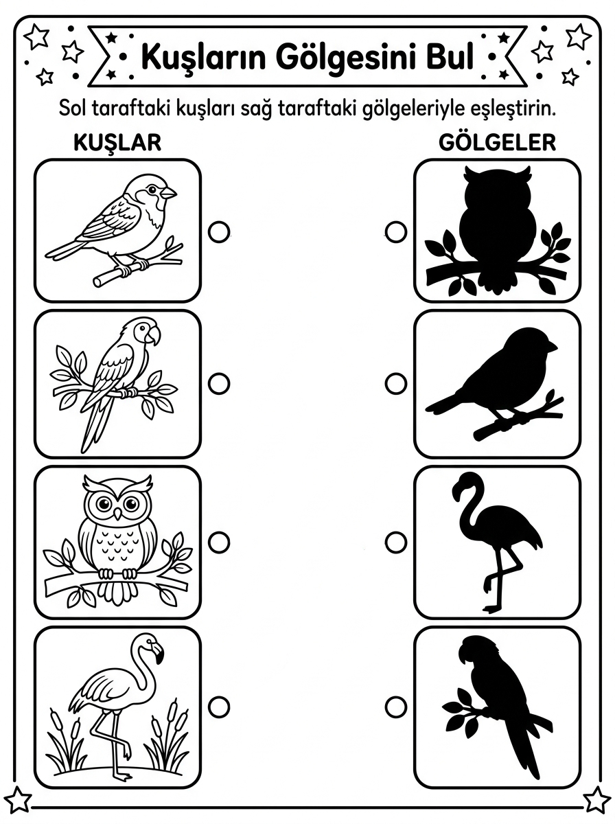 Minik Serçeler Partide Uçuyor (E Sesi) - 7 Calisma Kuslarin Golgesini Bul (36-48 Ay)