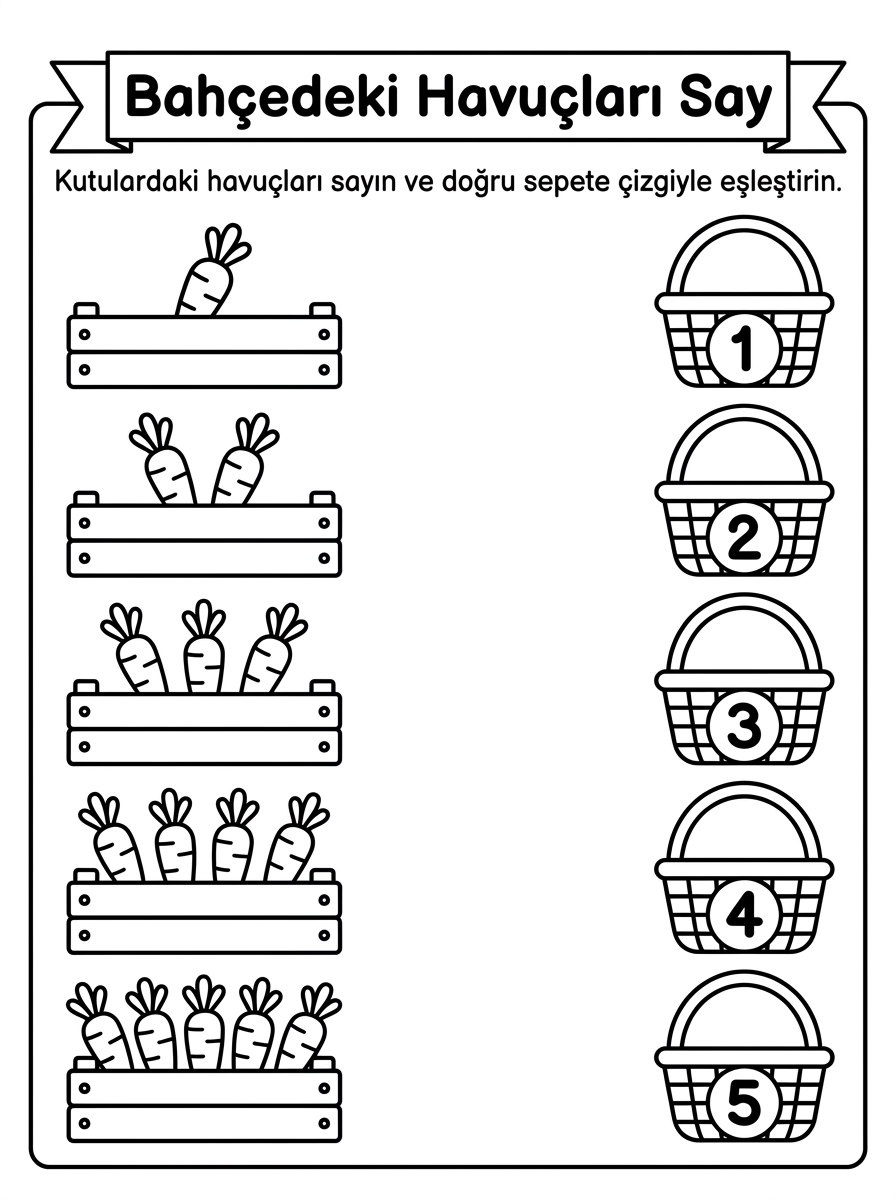 Turuncuya Dokun - 6 Calisma Bahcedeki Havuclari Say Ve Eslestir (48-60 Ay)