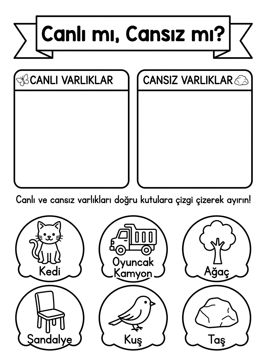Kedileri Tanıyorum ve Hayvanları Koruyorum [Hayvanlari Korumaliyiz Sokak H] – 4 Calisma Canli Mi Cansiz Mi Varlik Siniflandirma (36-48 Ay)