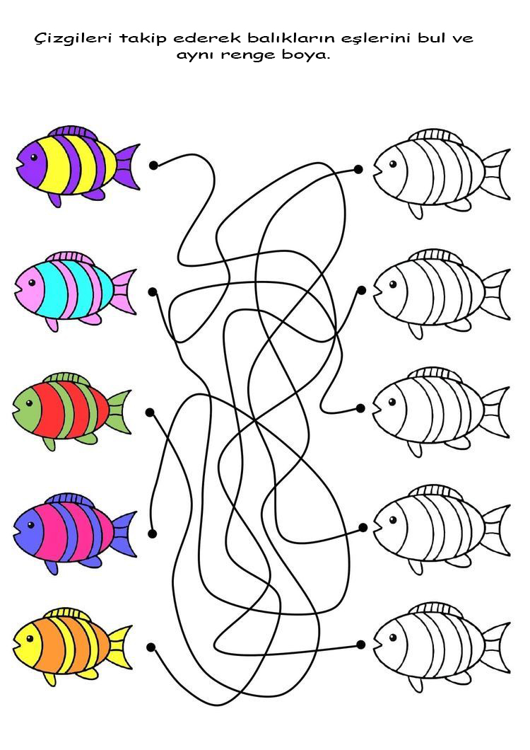 25db3811b5b628fe6018843f18f3098d