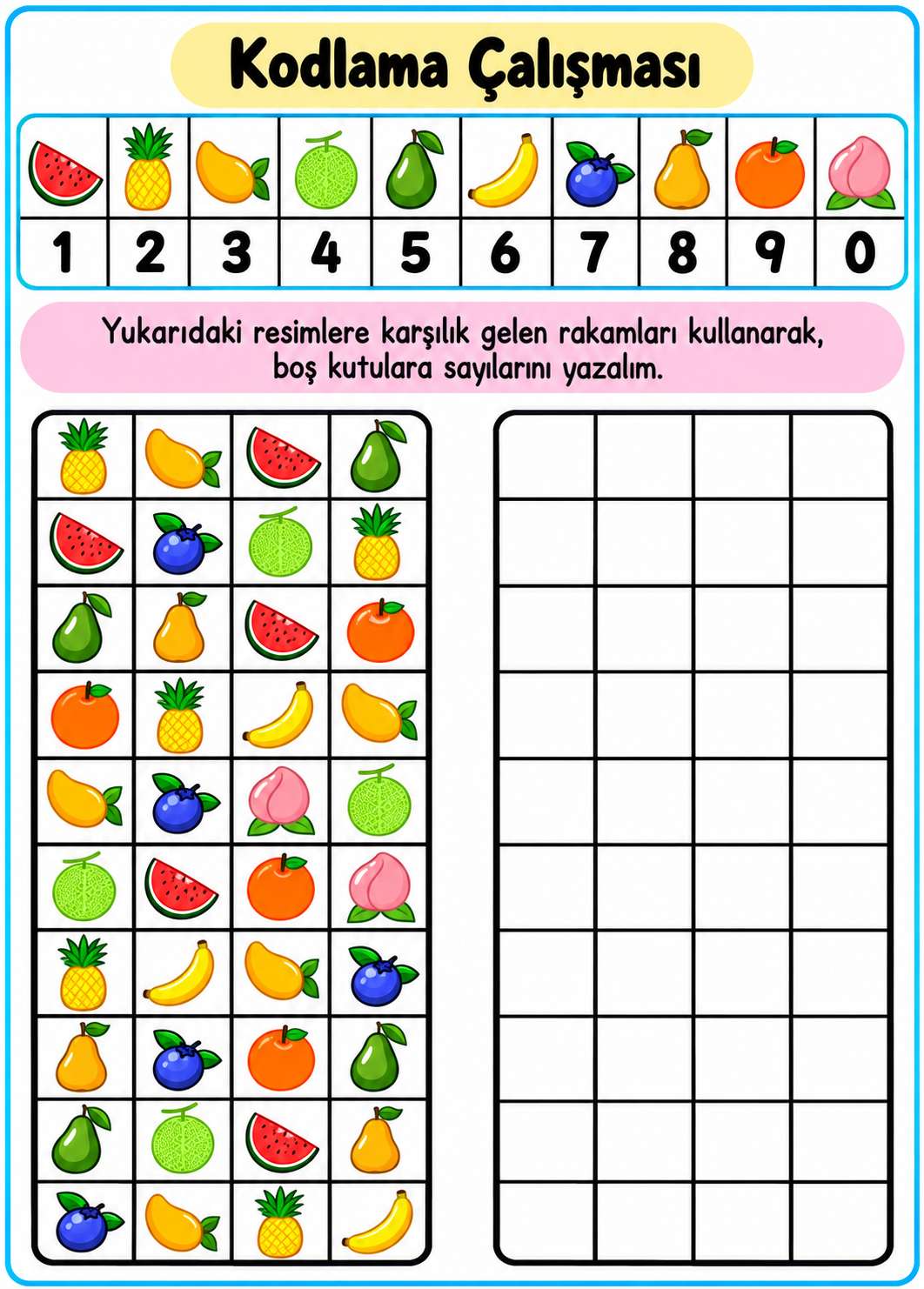 Meyve Kodlama ÇAlışMası