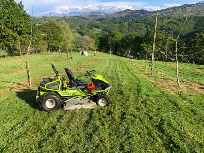 Desbroce de parcela rústica en Guadalajara - Limpieza profesional de terrenos