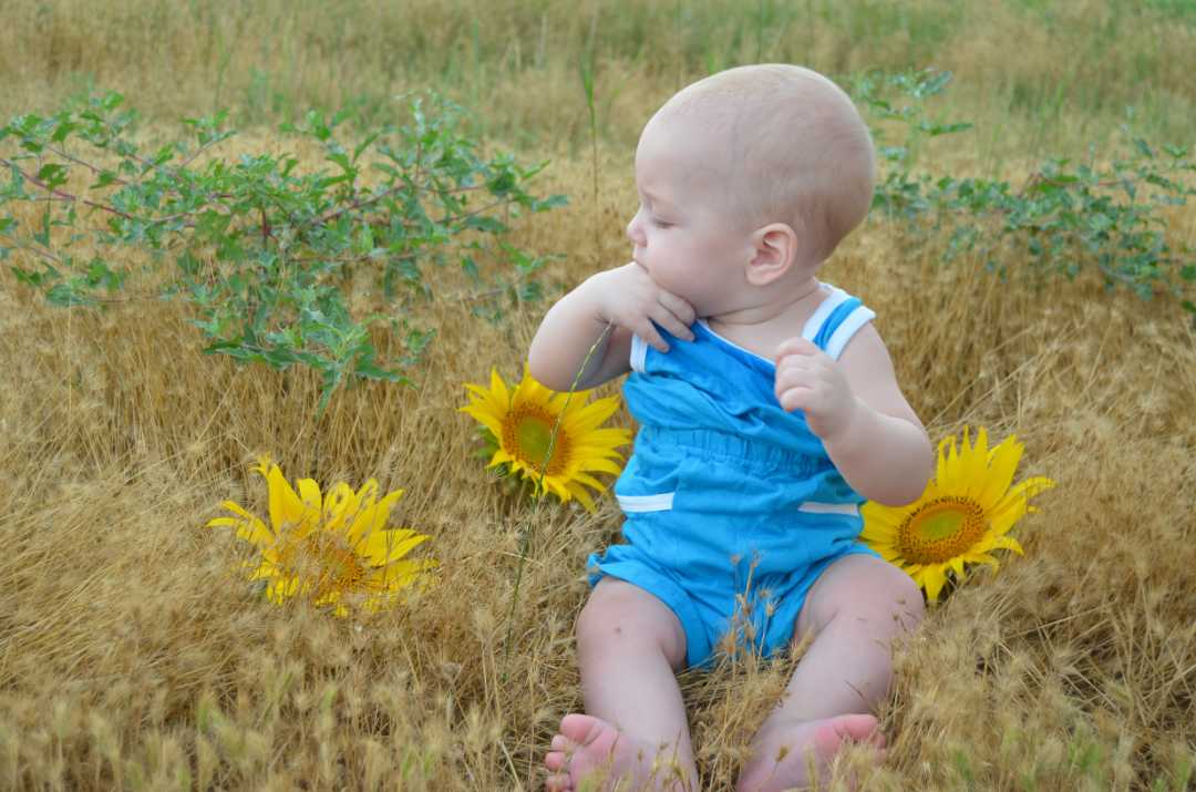 a baby sitting near a sunflower in a field