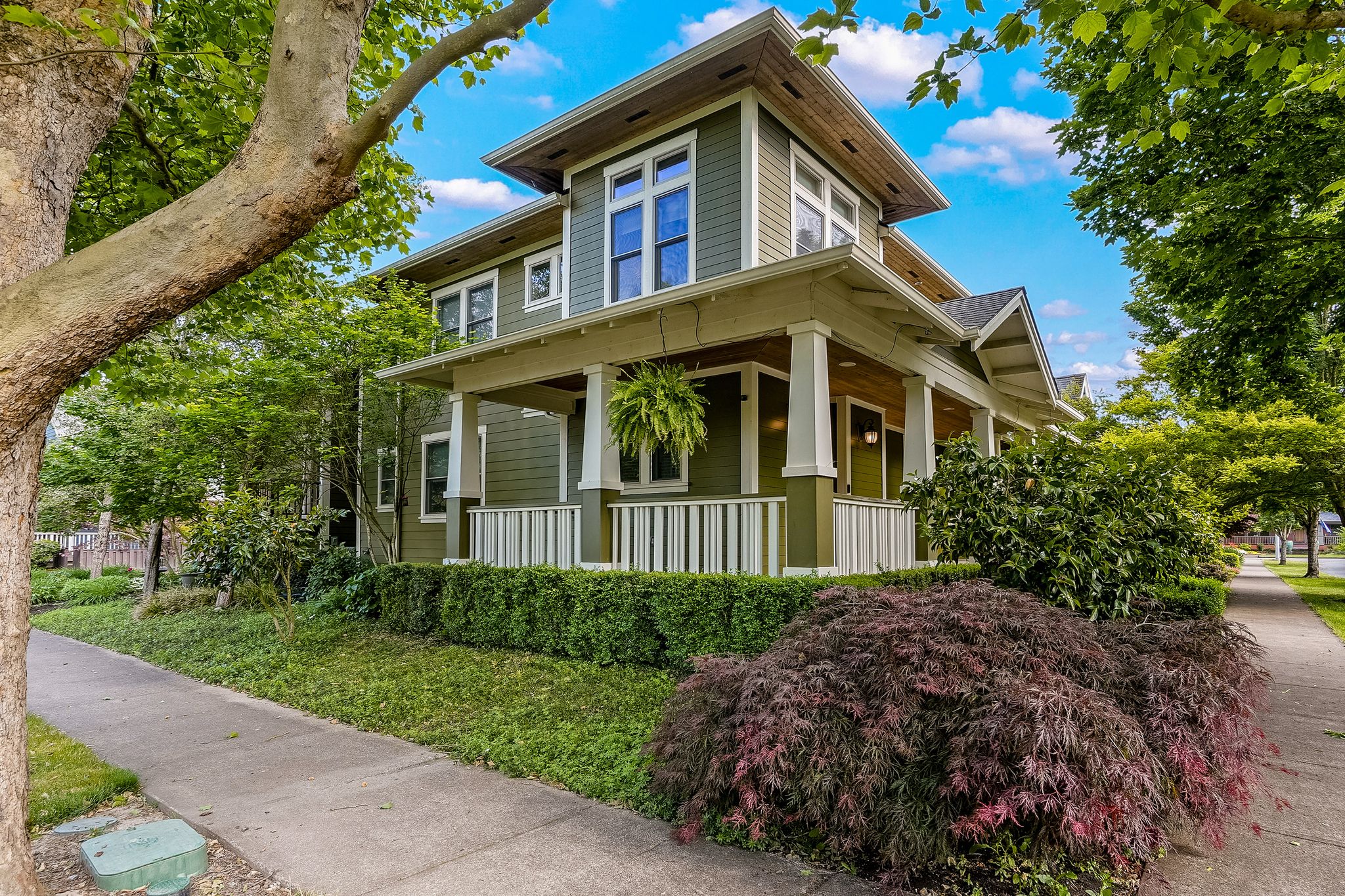 SUNNYCROFT11