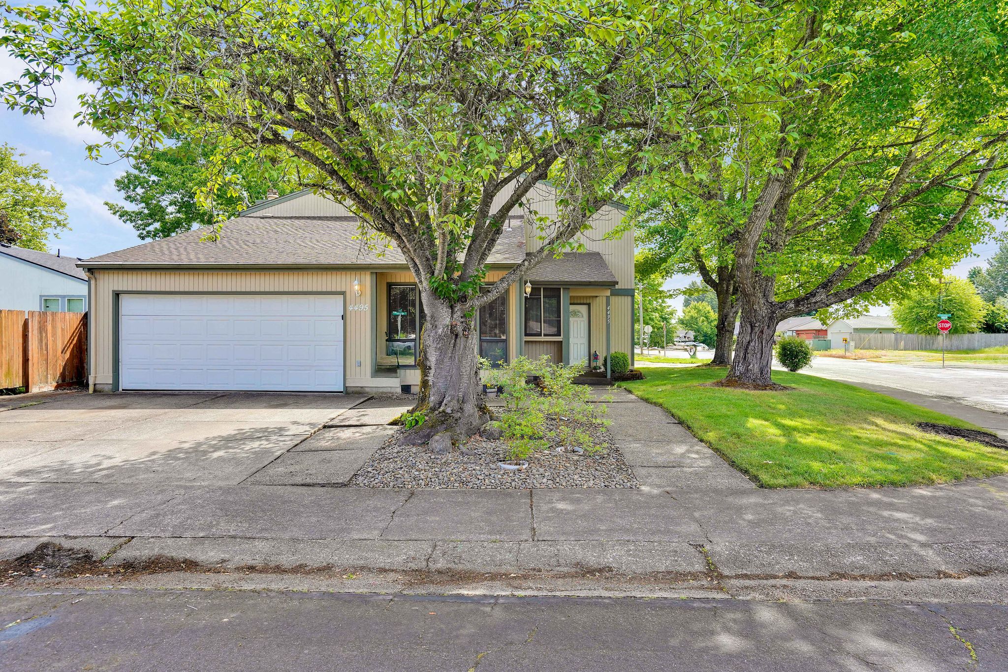 MADRONA01