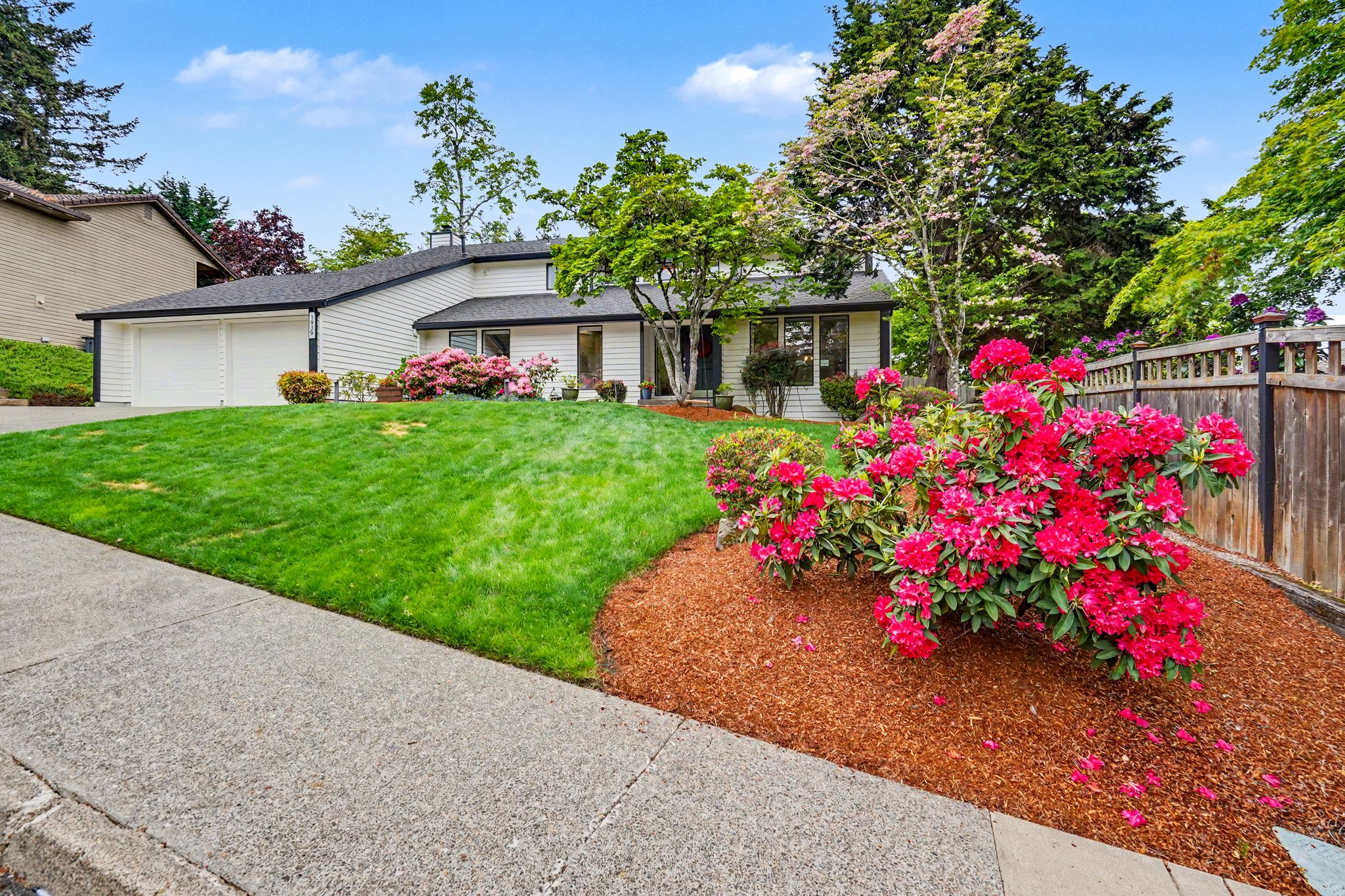 BRIGHTWOOD02