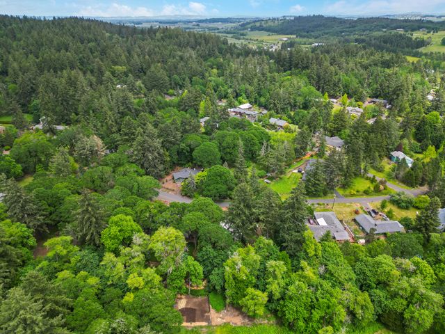 Alder creek-4