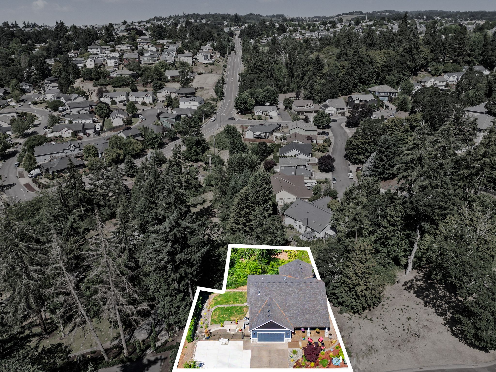 TIMBER VIEW 02